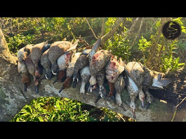 Teal BEATDOWN on Cold Front!