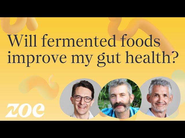 Will fermented foods improve my gut health? | Sandor Katz and Professor Tim Spector