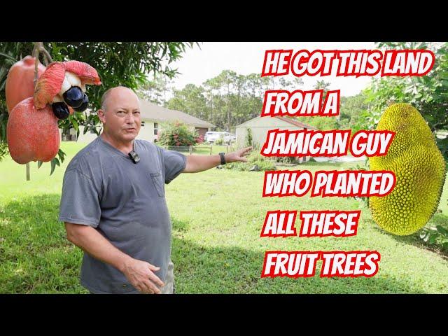A Fruit Forest with More Room To Grow