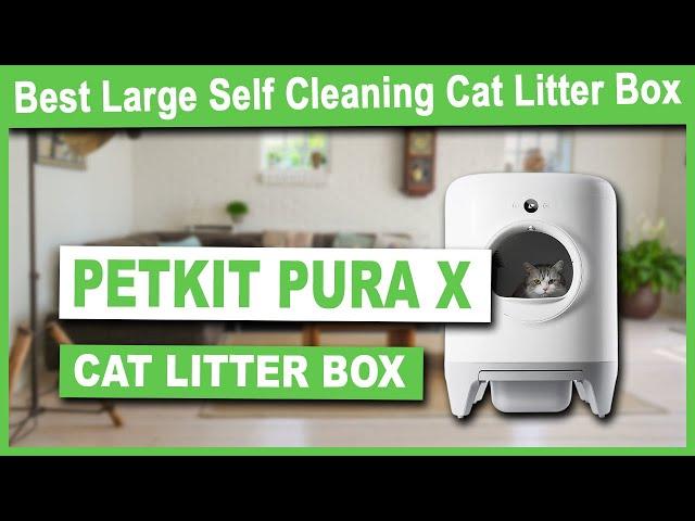 PETKIT Pura X Self-Cleaning Cat Litter Box - Best Self Cleaning Cat Litter Box for Large Cats