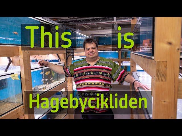 What is Hagebycikliden