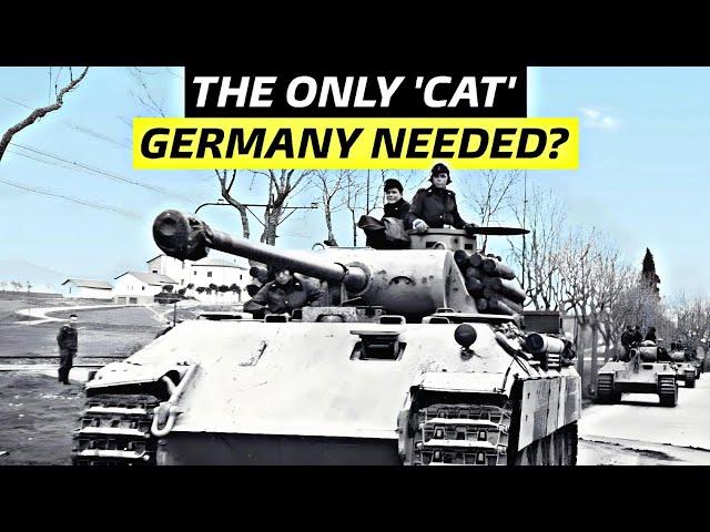 More Panthers Instead of Tigers: Could It Have Been Germany's Best WWII Tank Strategy?