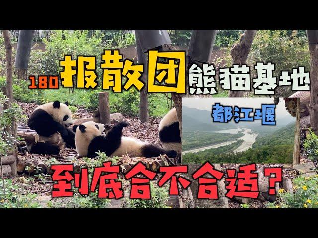 在中国，180块钱报散团去熊猫基地和都江堰合适吗？