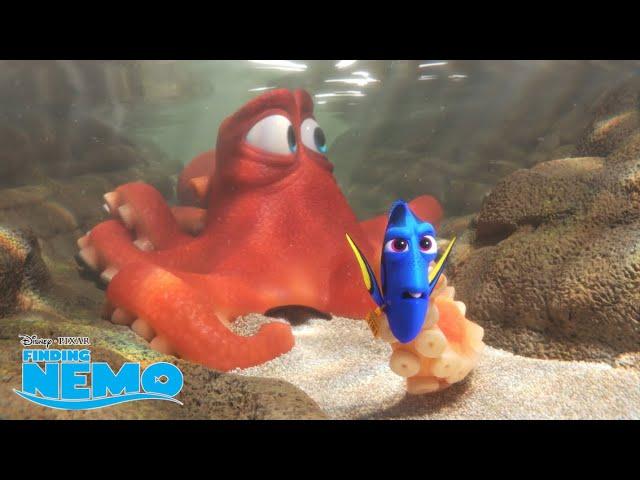 Just Keep Swimming  | Finding Dory | Disney Channel UK