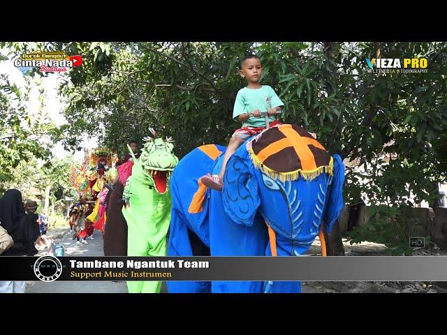 CURIGA ~ SPESIAL ARAK-ARAKAN BUROK DANGDUT CINTA NADA BUDAYA DUKUH WANGON