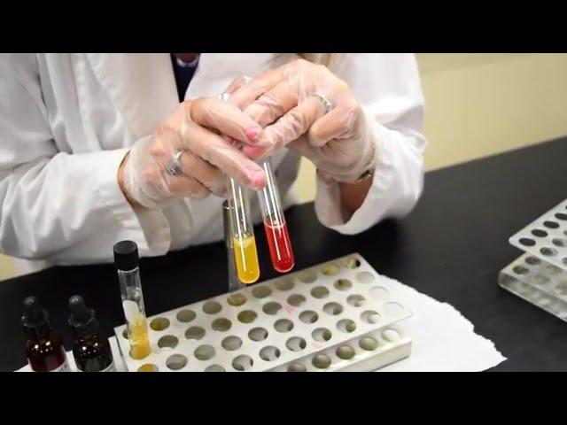 How to Inoculate & Interpret a Nitrate Broth Tube - MCCC Microbiology