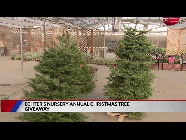 Arvada business hosts Christmas tree giveaway