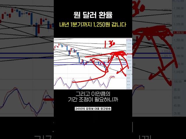 원 달러 환율 내년 1분기까지 1,250원 갑니다 | 강흥보 대표