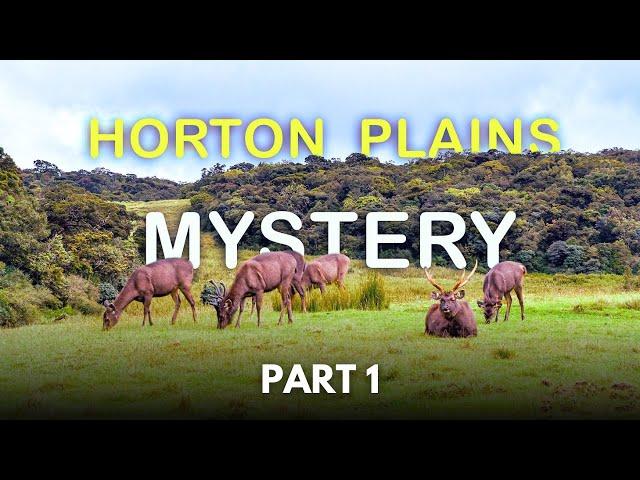 Horton Plains National Park | Part 1