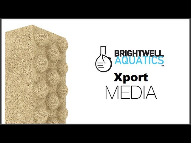 Brightwell Aquatics Xport Media