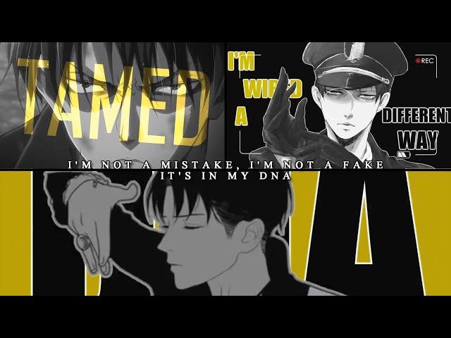 Levi Ackerman ¦¦ He Can't Be Tamed ᴹᴱᴾᵖᵃʳᵗ