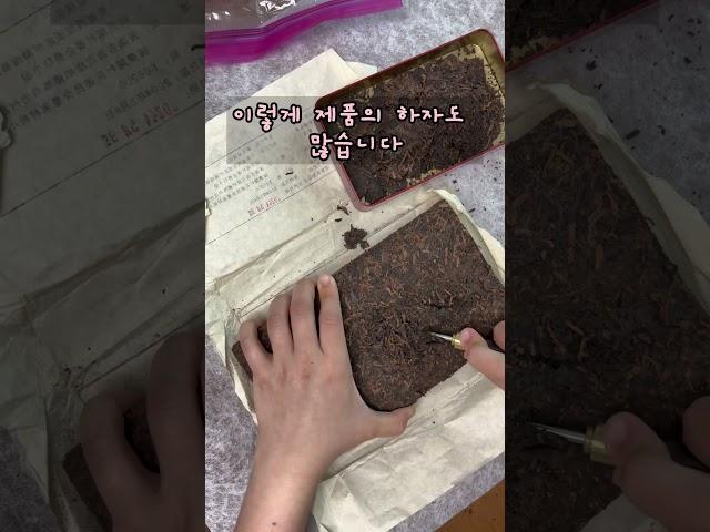 중국 보이차 사기 | 패키지여행 쇼핑옵션 | 보이차 해괴 | 장가계 패키지 #보이차 #패키지 #장가계