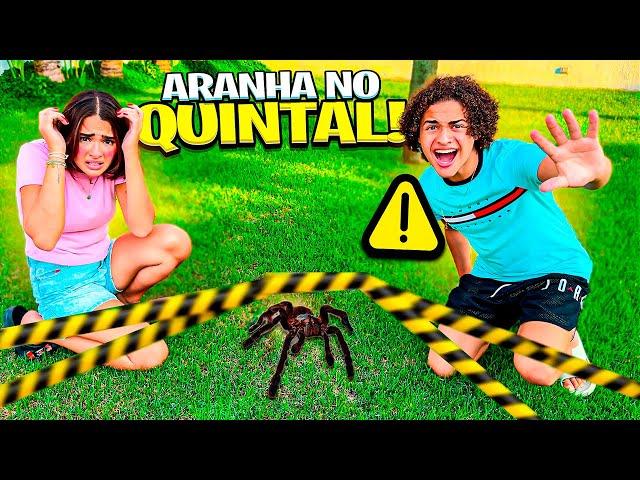 ENCONTRAMOS UMA ARANHA GIGANTE NA MANSÃO - BIZARRO !!!