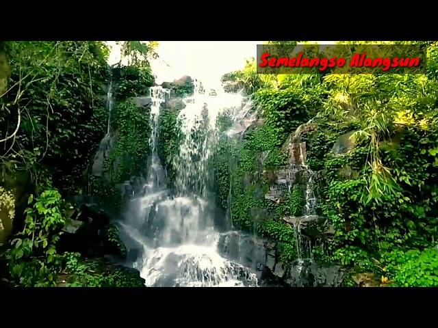 Semelangso Alangsun // Nilip //