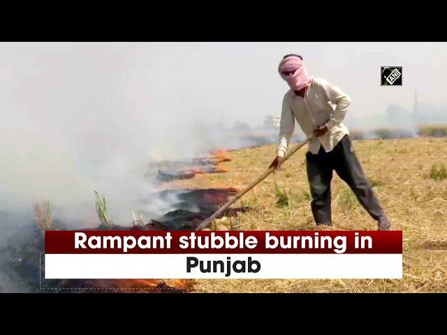 Rampant stubble burning in Punjab