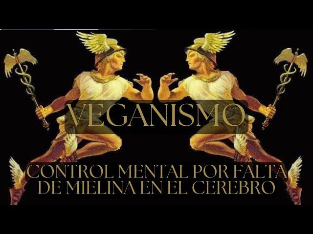 Veganism: How to expose yourself in the name of empathy _ SPIRITUAL SCIENCE