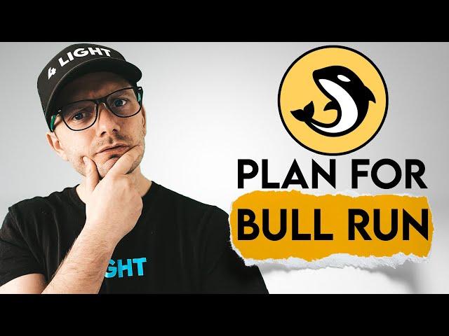 ORCA Price Prediction. Orca coin bull run plan