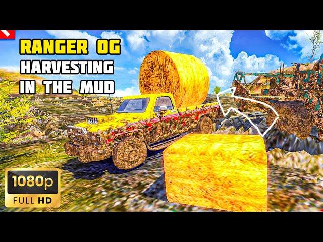 HARVESTING IN THE MUD WITH RANGER OG TRUCK | OFF THE ROAD HD OPEN WORLD DRIVING GAME