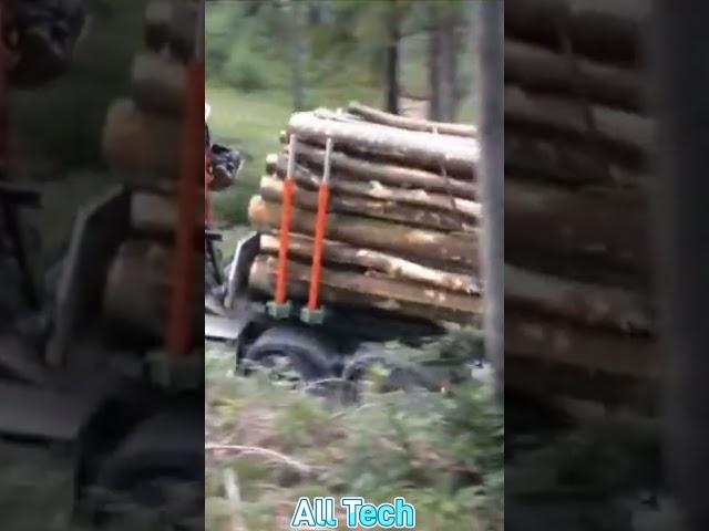 Logging wood Truck Driving skills #shorts