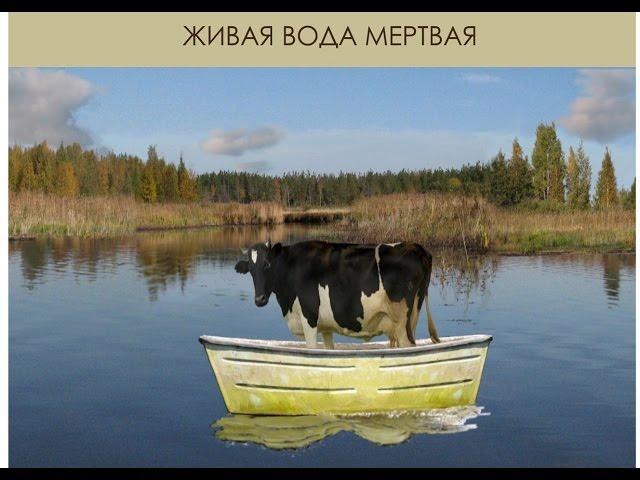 “ЖИВАЯ ВОДА МЕРТВАЯ”