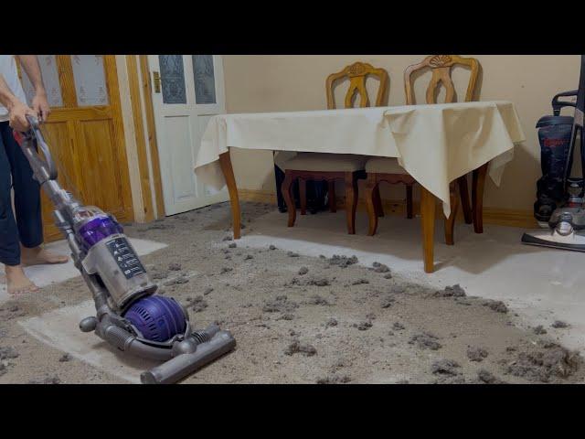 Dyson DC25 Animal Ball vacuum cleaner- Performance Testing