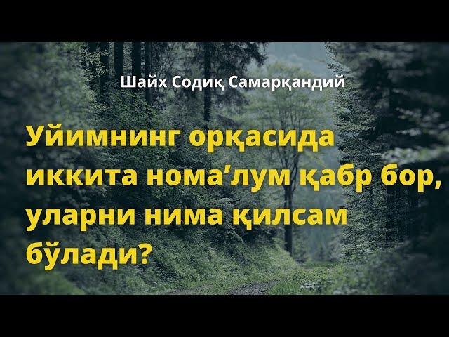 Уйимнинг орқасида иккита нома’лум қабр бор, уларни нима қилсам бўлади? / Шайх Содиқ Самарқандий