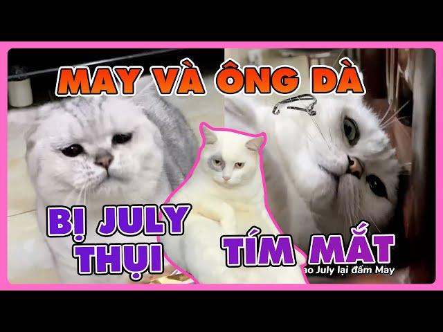 May và ông dà bị July thụi tím mắt | maly.gaugau