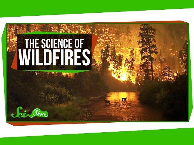 The Science of Wildfires