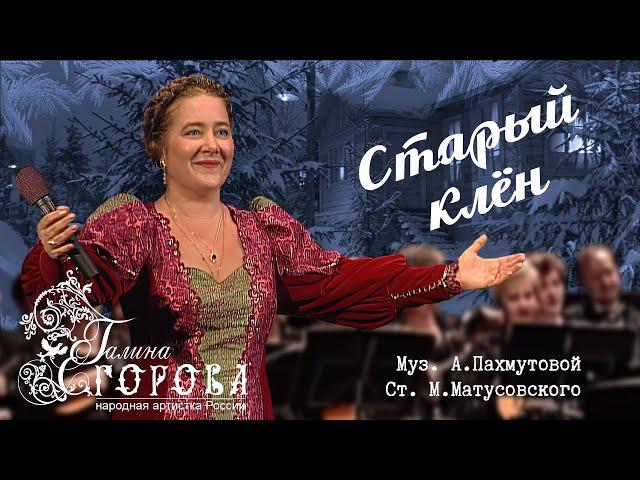 Старый клён. Галина Егорова, нар. арт. РФ
