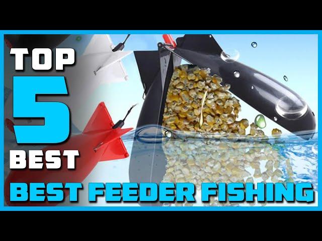 5 Best Feeder Fishing Reviews