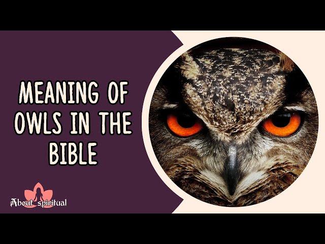 Meaning of Owls in the Bible - Symbol of Love or Death?