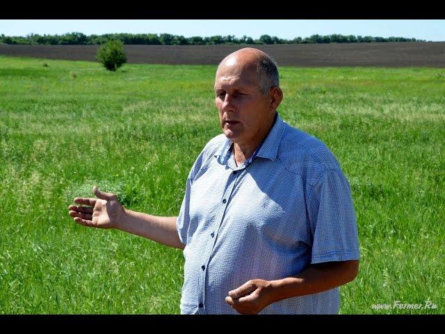 Технология No-Till.  Личный опыт Потапова С.Г.