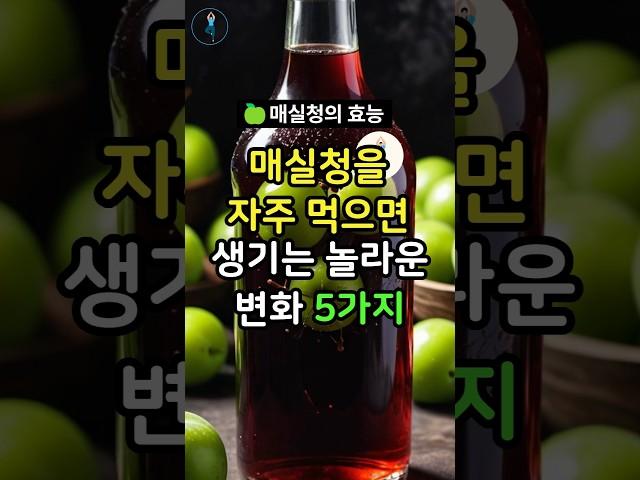 매실청에 이런 효능까지? 꼭 확인해보세요