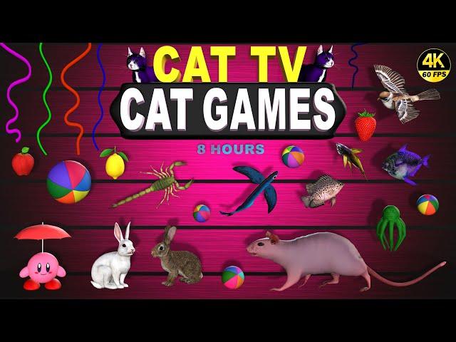 CAT GAMES | BEST VIDEOS FOR CATS TO WATCH ULTIMATE CAT TV |  ENTERTAINMENT FOR CATS  4K 60 FPS