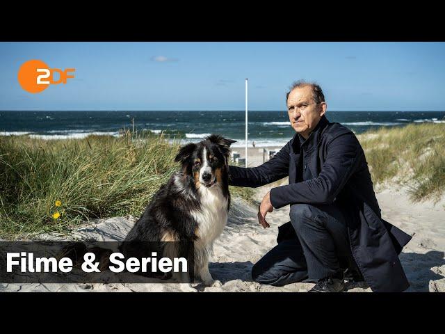 Nord Nord Mord – Sievers und der verlorene Hund | Filme & Serien | ZDF