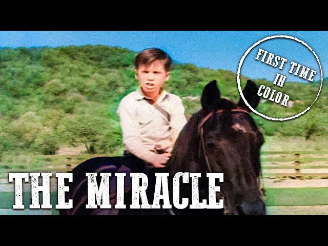 Fury - The Miracle | EP20 | COLORIZED | Full Episode | Classic Western Series