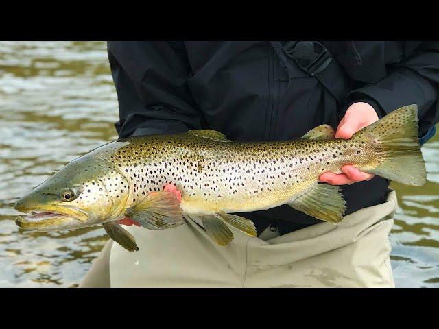 Ep4: How We Got Into Fly Fishing, The Tug Drug, Spin Casting, Small Streams + More