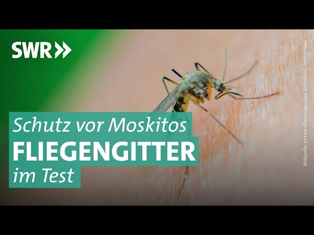 Fliegengitter gegen Moskitos: Wie leicht geht der Einbau? | Marktcheck SWR