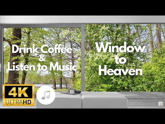 Window to Heaven, Calming Music, Relax with a Cup of Coffee and Nature, Stress Relief, Chill, 4K