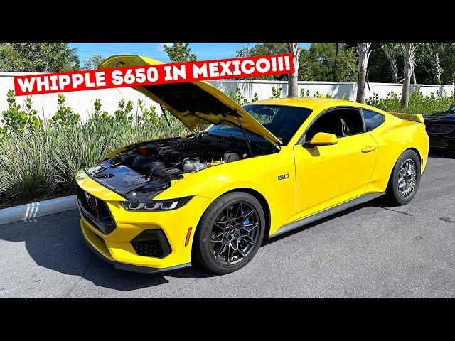 2024 WHIPPLE Supercharged Mustang VS TUNED McLaren 720S in Mexico!!! *$60K VS $350K*