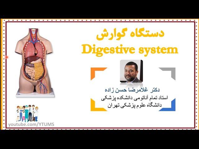 جلسه نهم : آناتومی دستگاه گوارش (Digestive system) | آموزش جامع آناتومی عمومی | پرفسور حسن زاده