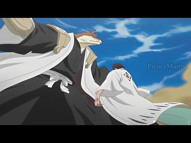 Aizen And Renji Using The Wrong Hados