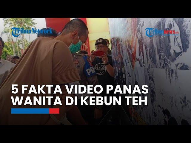 5 Fakta Video 'Panas' Wanita Muda di Kebun Teh Ciwidey, Direkam Suami hingga Dijual lewat di Medsos