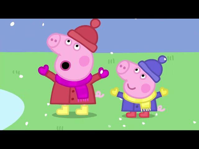 Peppa Gris | Pappa Gris har bursdag | Barns Tegneseries