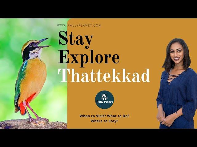 Stay, Explore Thattekkad - Birds & Trekking and More | Pally Planet