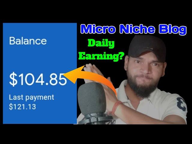 Micro Niche Blog Earning Proof | Micro Blogging 2023 Earning