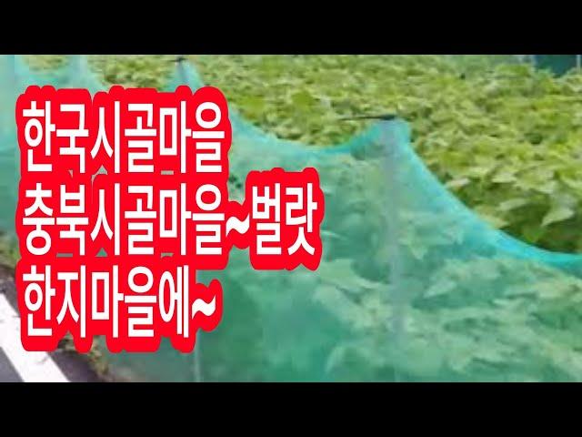 【한국시골마을】충북시골마을중에 오지마을~~