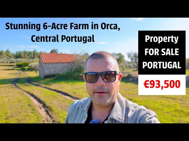 Central Portugal Farm Tour: Stunning 6 Acre Farm FOR SALE in Orca | OKPORTUGAL