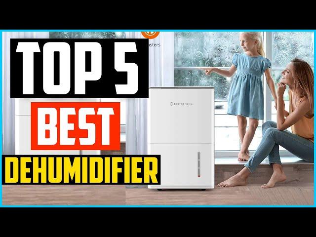 Top 5 Best Dehumidifier in 2024 – Reviews