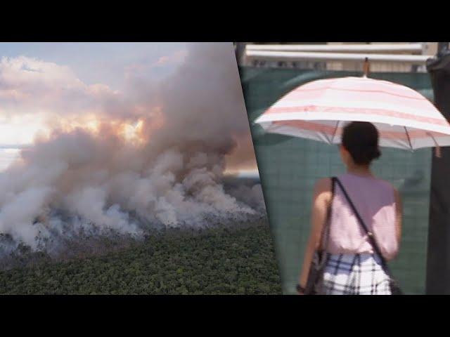 호주는 한겨울에도 40도…가장 뜨거운 8월 보낸 지구 / 연합뉴스TV (YonhapnewsTV)